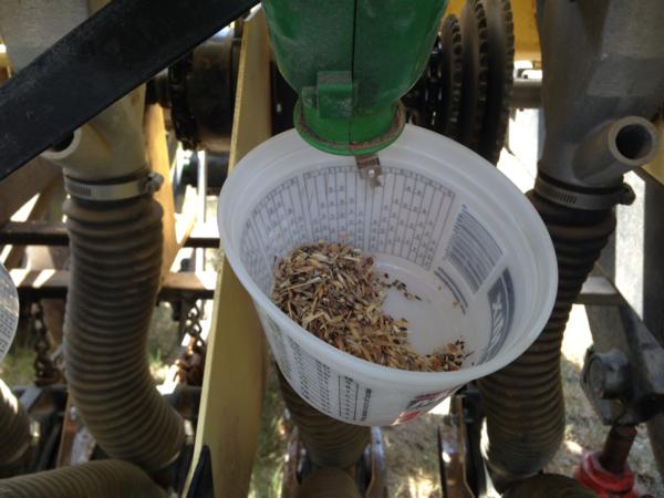 May 2015 Wayne Schottler calibrating seed for his no-till drill near Froid MT